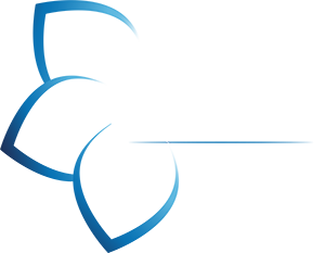 Orchestra SIO